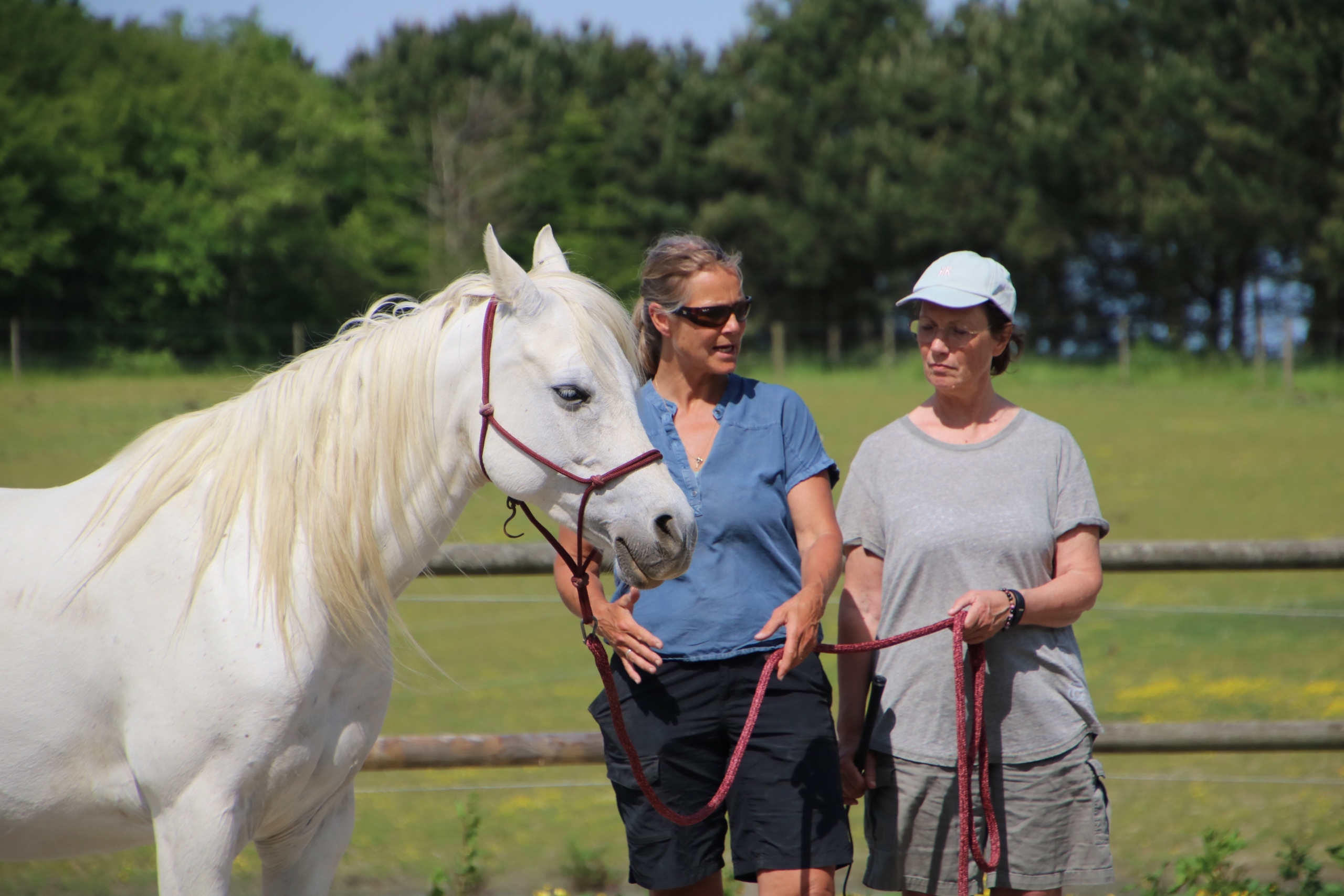 DEMO med Mayanne Florman